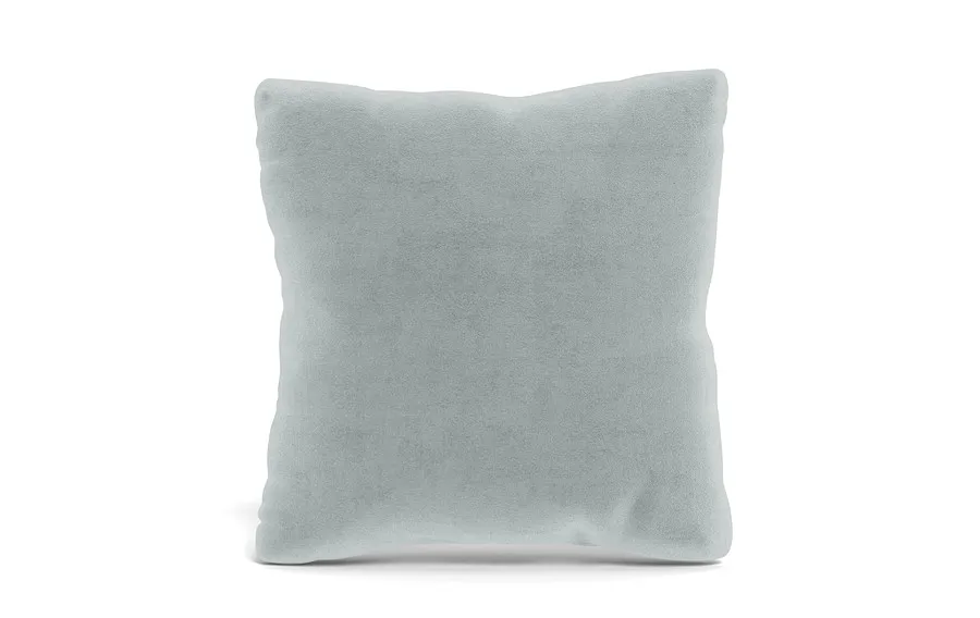 Throw Pillow 20 x 20" Square"