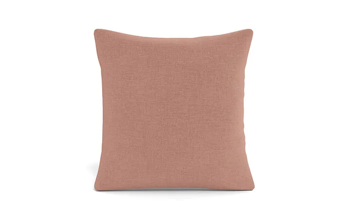 Throw Pillow 24 x 24" Square Pillow"