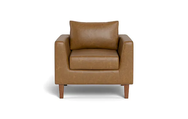 Asher Leather Petite Chair