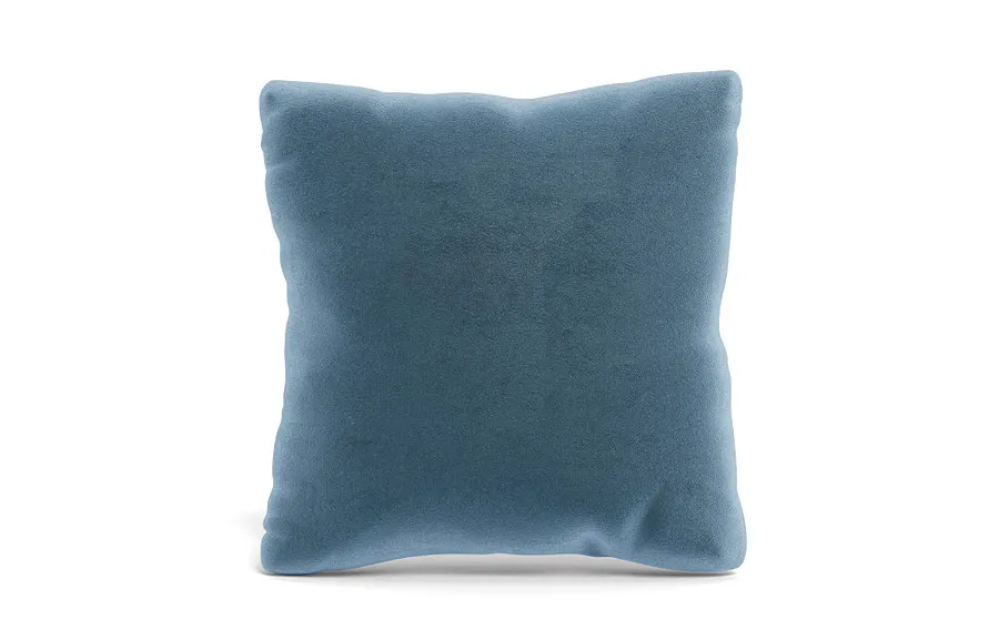 Throw Pillow 20 x 20" Square"