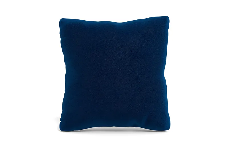 Throw Pillow 20 x 20" Square"