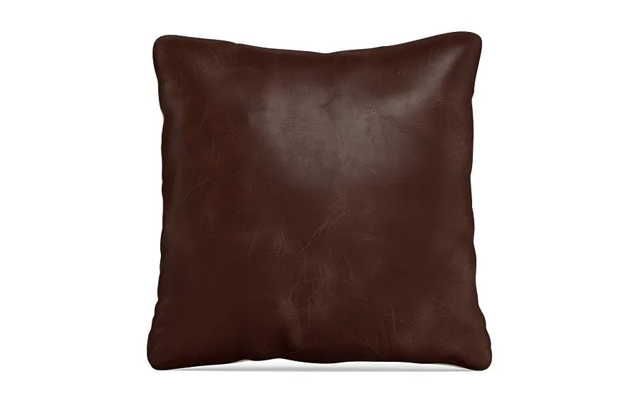 Throw Pillow 22 x 22" Square"