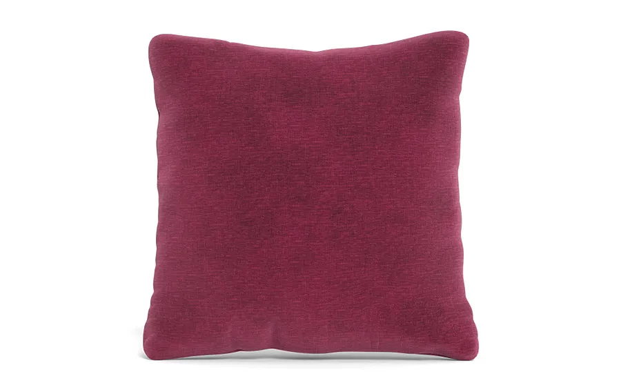Throw Pillow 22 x 22" Square"