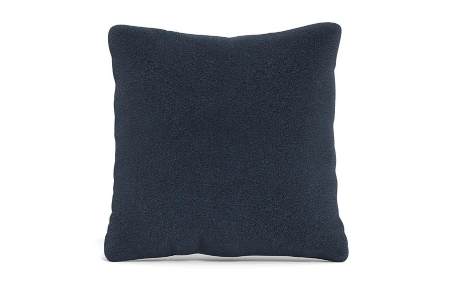 Throw Pillow 22 x 22" Square"
