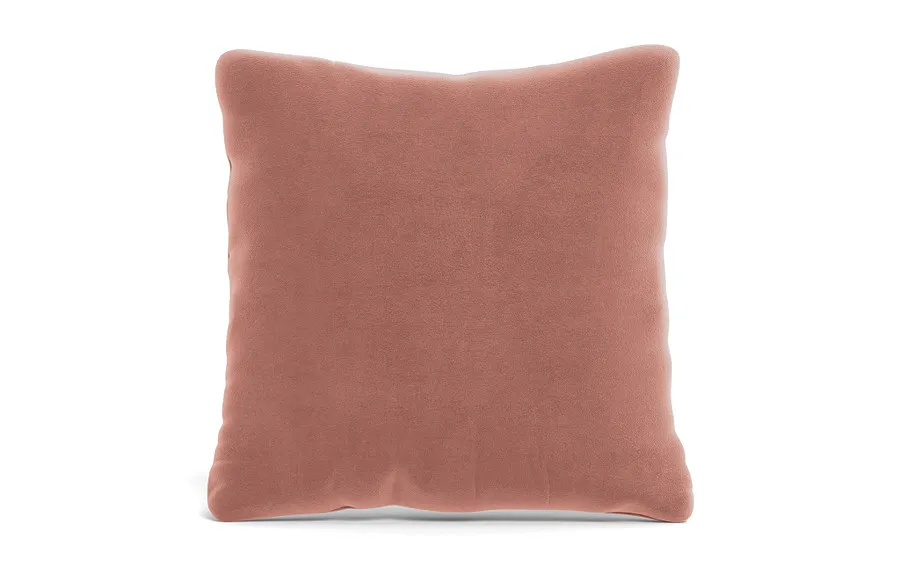 Throw Pillow 22 x 22" Square"