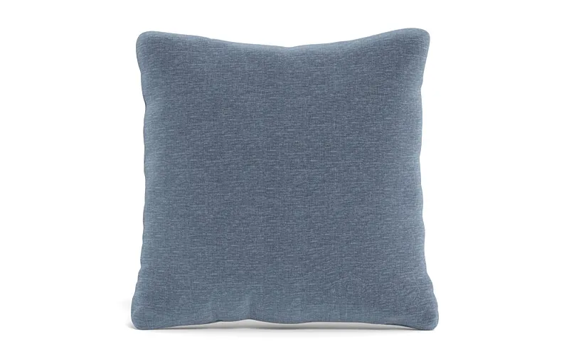 Throw Pillow 22 x 22" Square"