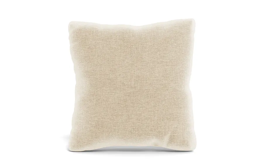 Throw Pillow 20 x 20" Square"