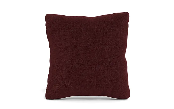 Throw Pillow 20 x 20" Square"
