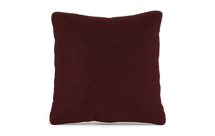 Throw Pillow 22 x 22" Square"