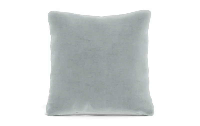 Throw Pillow 22 x 22" Square"