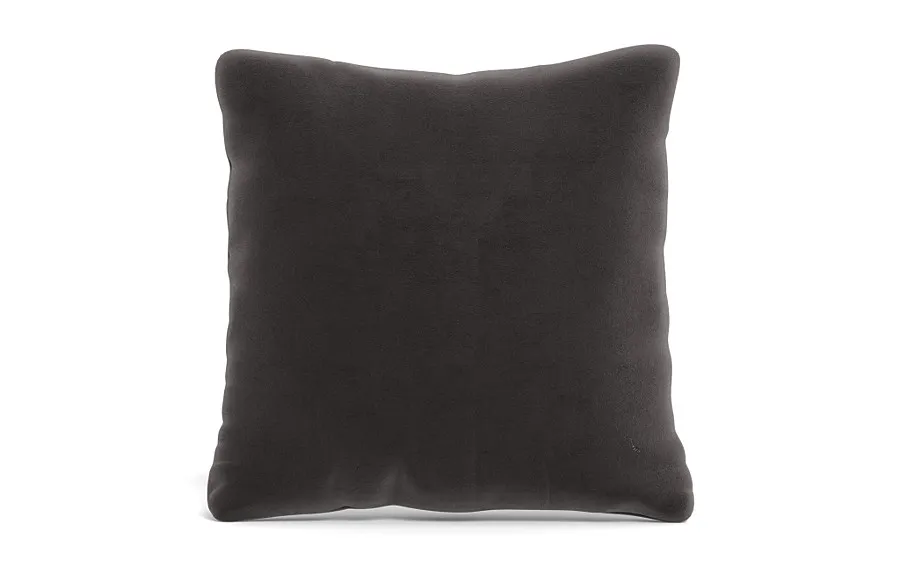 Throw Pillow 22 x 22" Square"