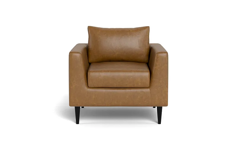 Asher Leather Petite Chair