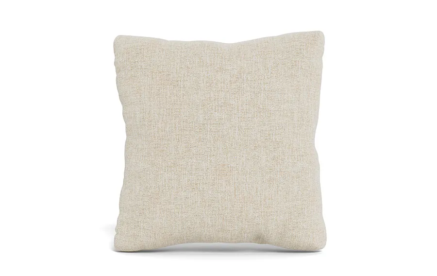 Throw Pillow 20 x 20" Square"