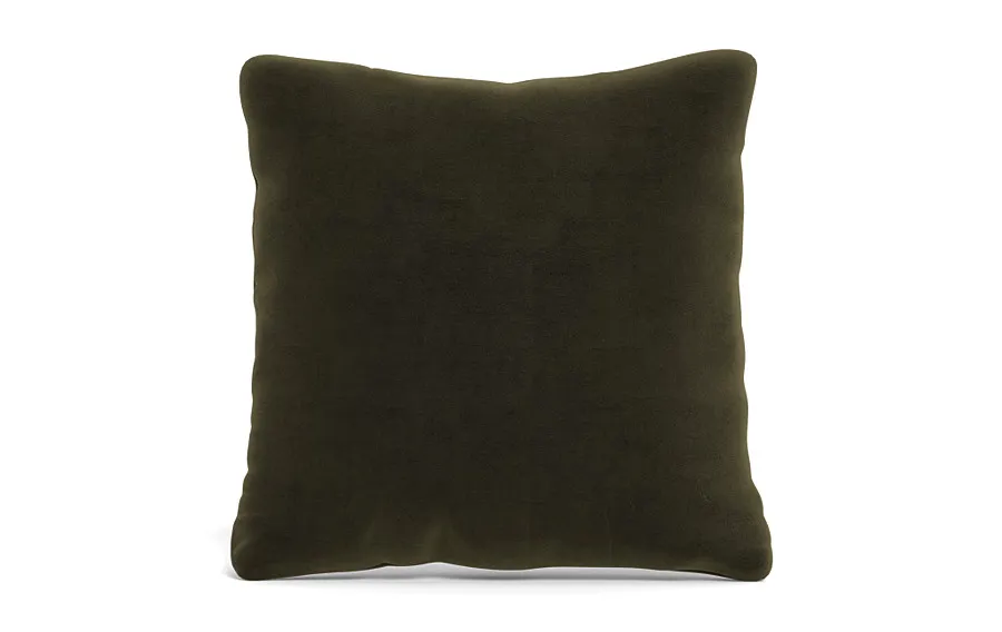 Throw Pillow 22 x 22" Square"