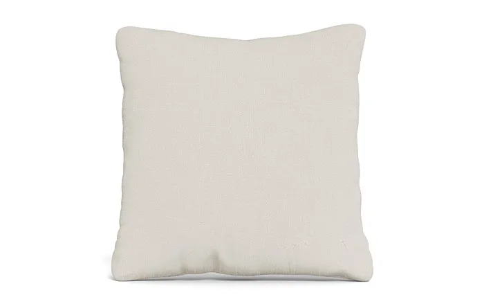 Throw Pillow 22 x 22" Square"