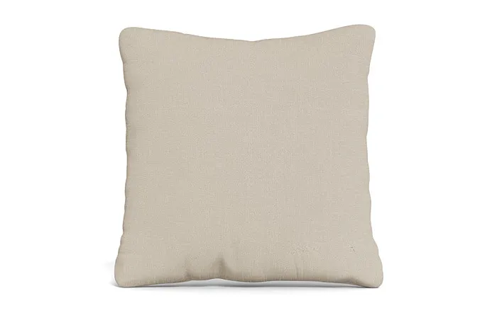 Throw Pillow 22 x 22" Square"