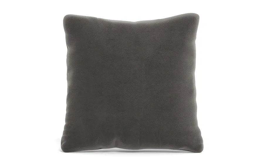Throw Pillow 22 x 22" Square"