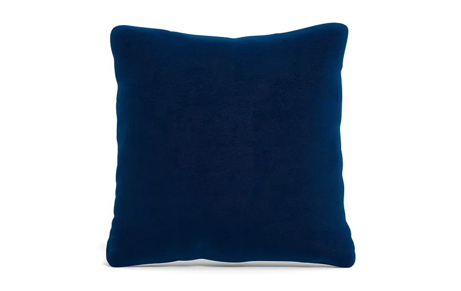 Throw Pillow 22 x 22" Square"