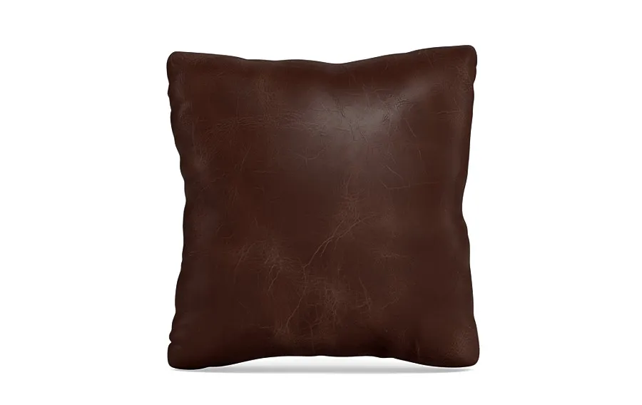 Throw Pillow 20 x 20" Square"