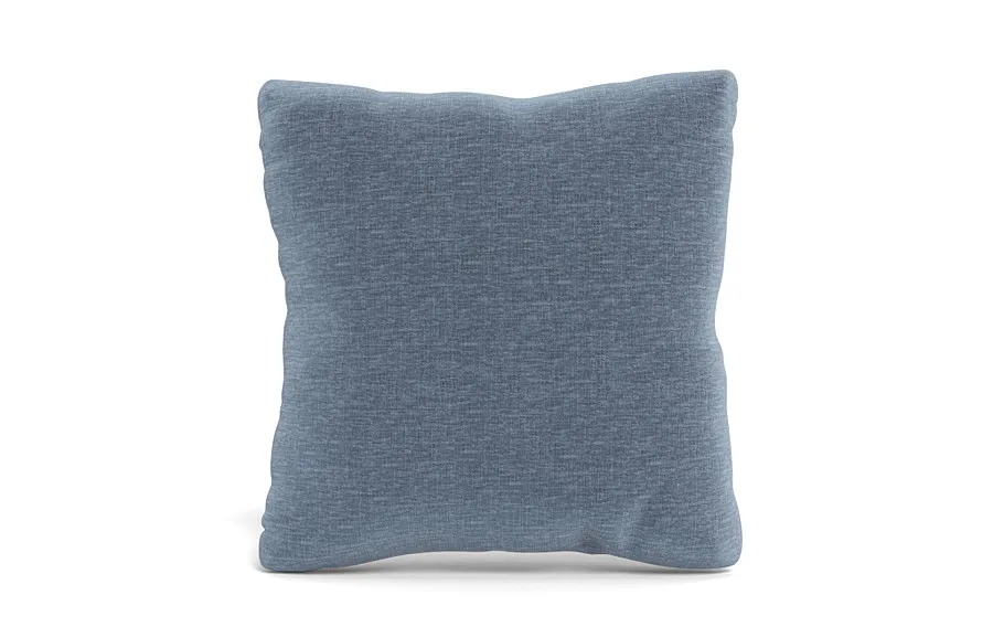 Throw Pillow 20 x 20" Square"