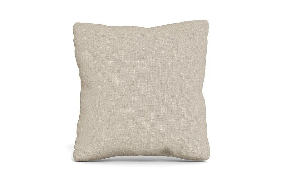 Throw Pillow 20 x 20" Square"