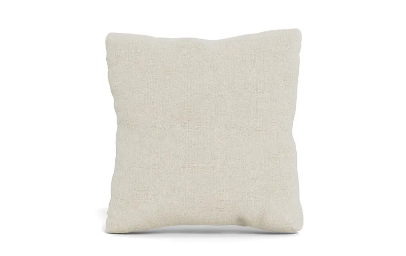Throw Pillow 20 x 20" Square"