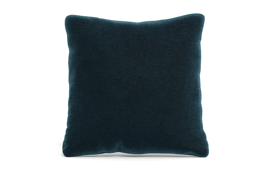 Throw Pillow 22 x 22" Square"