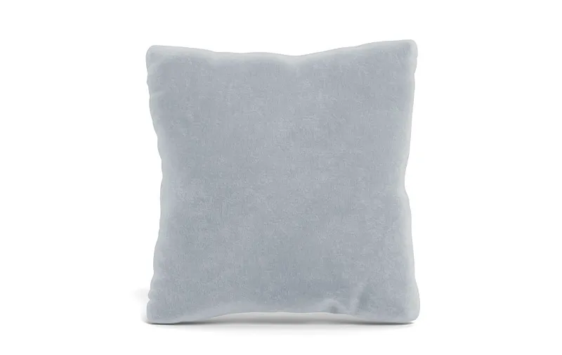 Throw Pillow 20 x 20" Square"