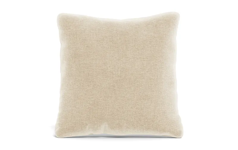 Throw Pillow 22 x 22" Square"