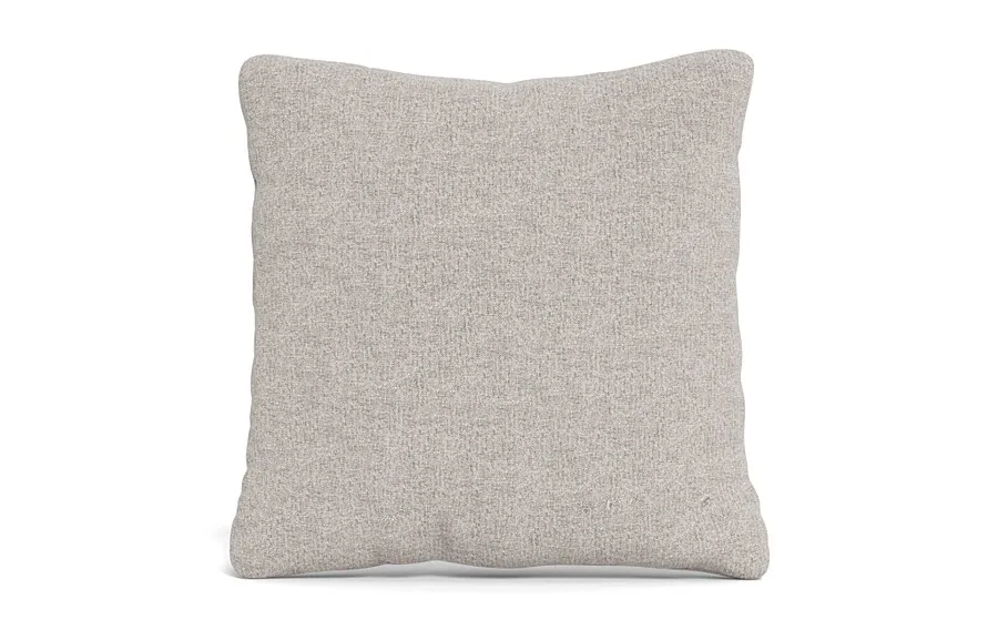 Throw Pillow 22 x 22" Square"