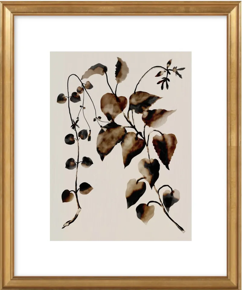 Botanics by Lana Effron for Artfully Walls