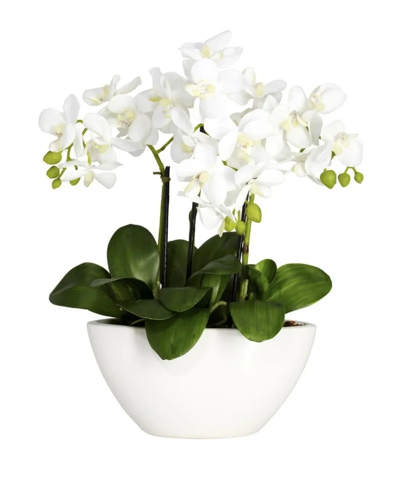 Phalaenopsis Silk Flower Arrangement