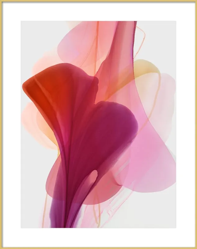 Abstract Flora Bloomlands 33 by Marta Spendowska for Artfully Walls