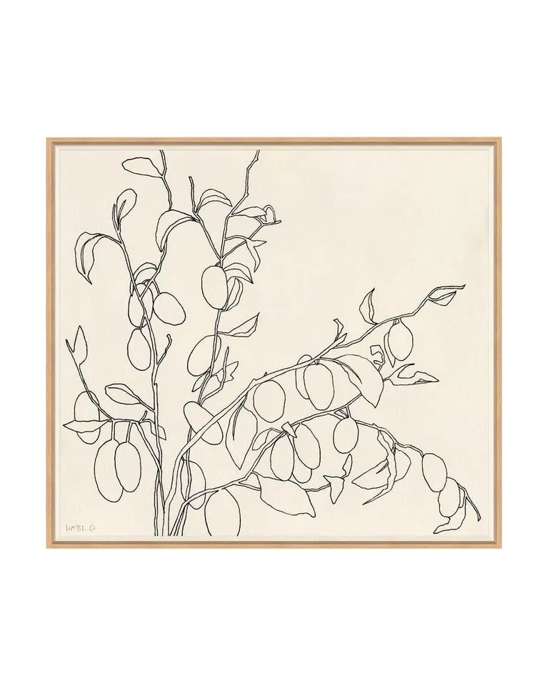 Sketched Olives, Framed, 42" x 38"