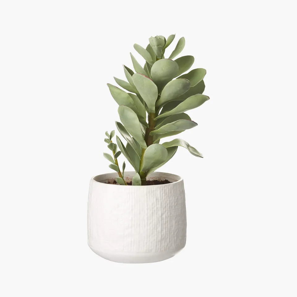 Potted Faux Succulent 14"