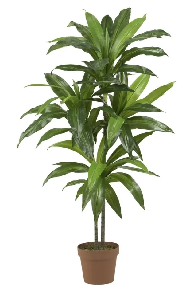 Real Touch Dracaena Silk Plant, 48"