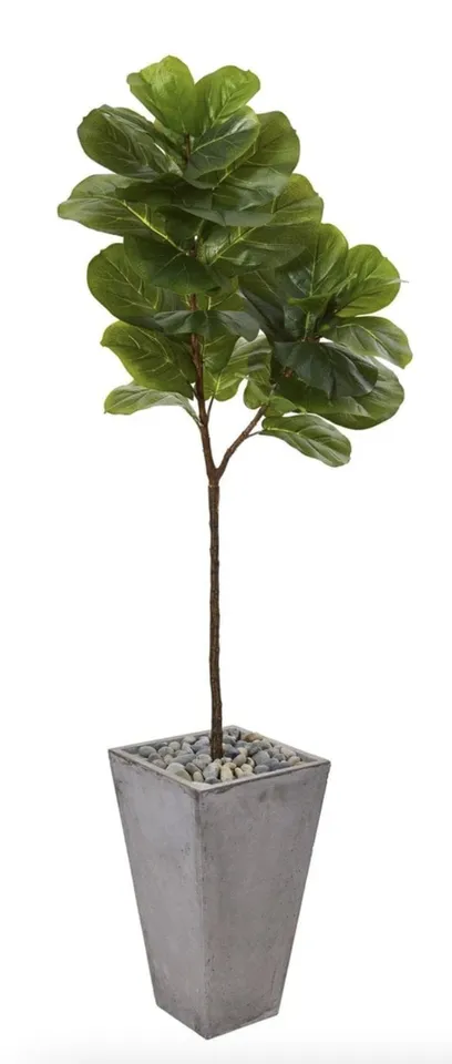 70" Fiddle leaf artifical tree in cement planter
