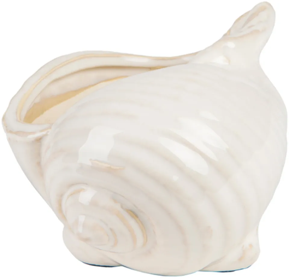 Clearwater 5.71 x 4.72 x 3.94 Shell