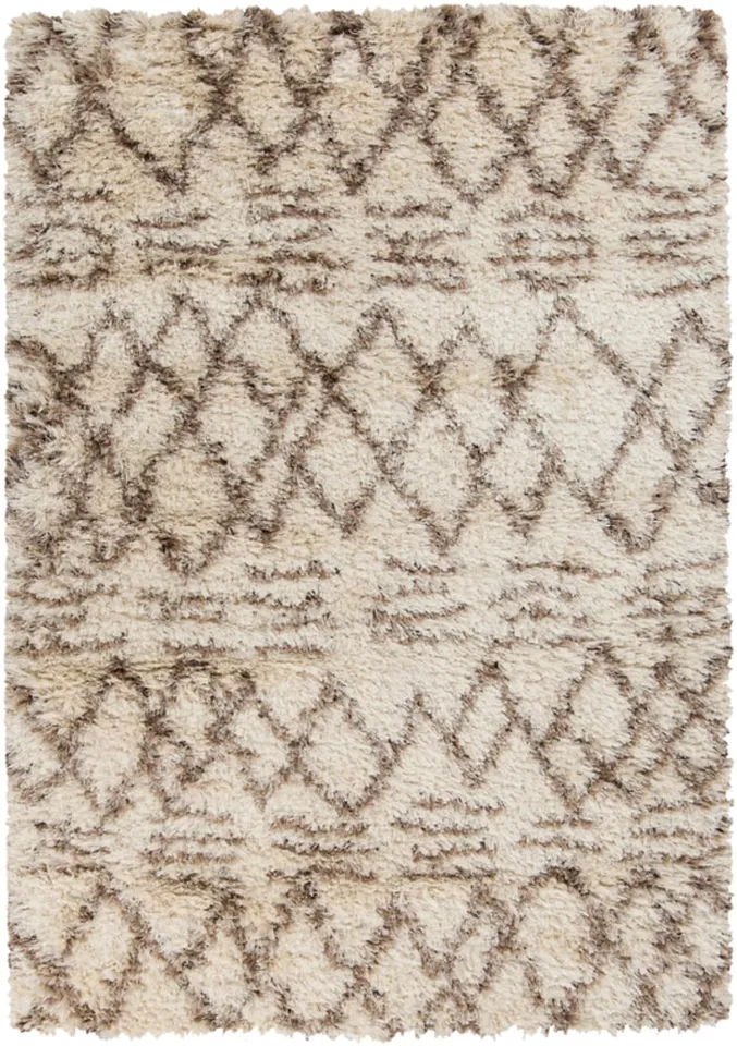 Rhapsody 5' x 8' Area Rug