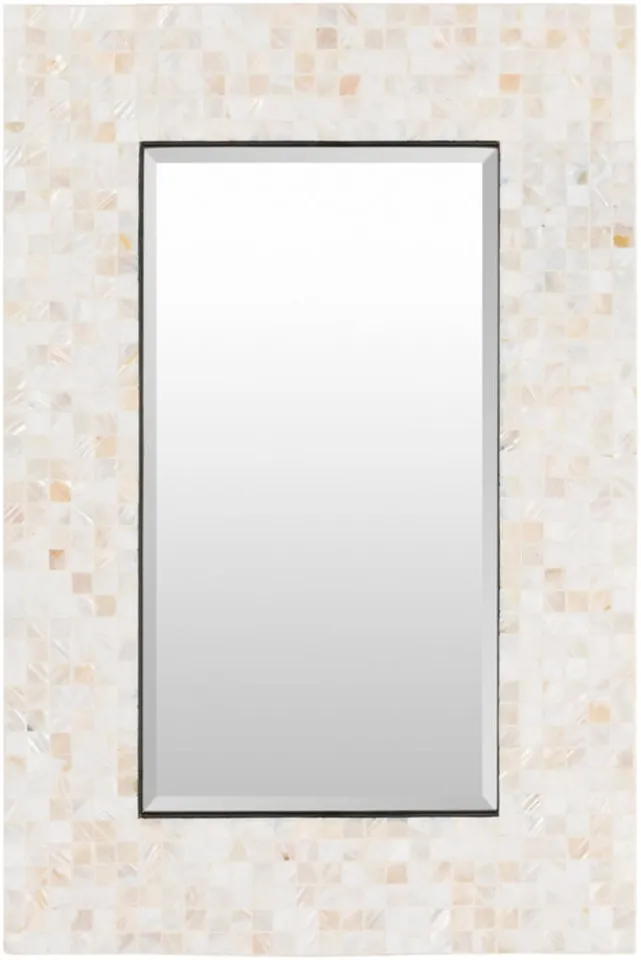 Overton 35.4 x 23.6 x 1 Mirror