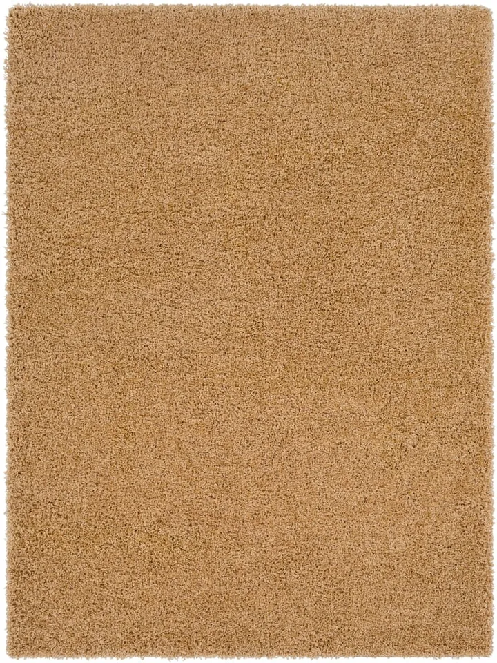 Galaxy Shag 5'3" x 7'3" Area Rug