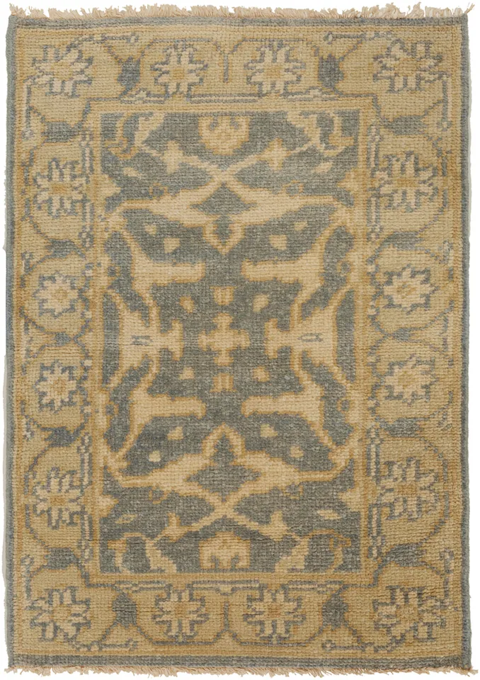 Ainsley 2' x 3' Area Rug