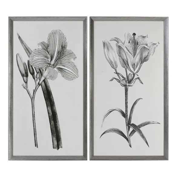 Sepia Flowers, S/2 - 24" x 44" - Silver Frame - No Mat