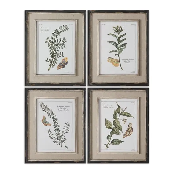 Butterfly Plants, S/4 - Black Frame - No Mat