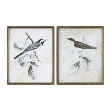 Rustic Gould, S/2