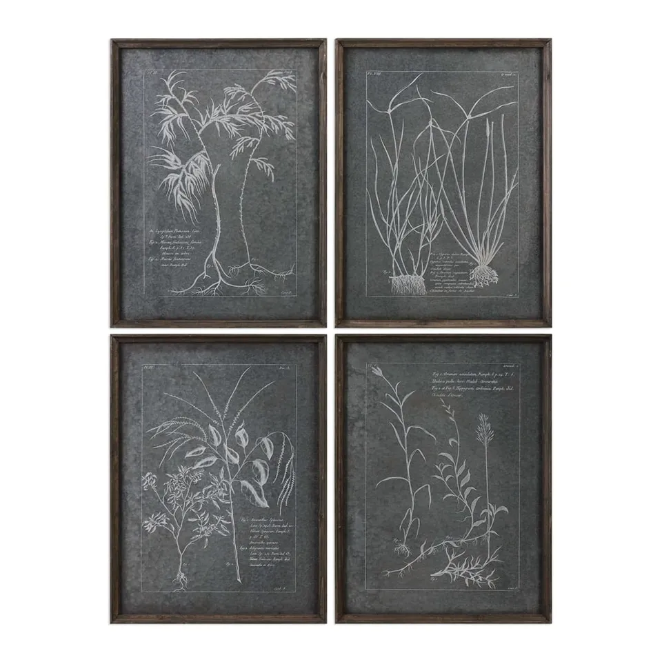 Root Study - 18x24 - Framed