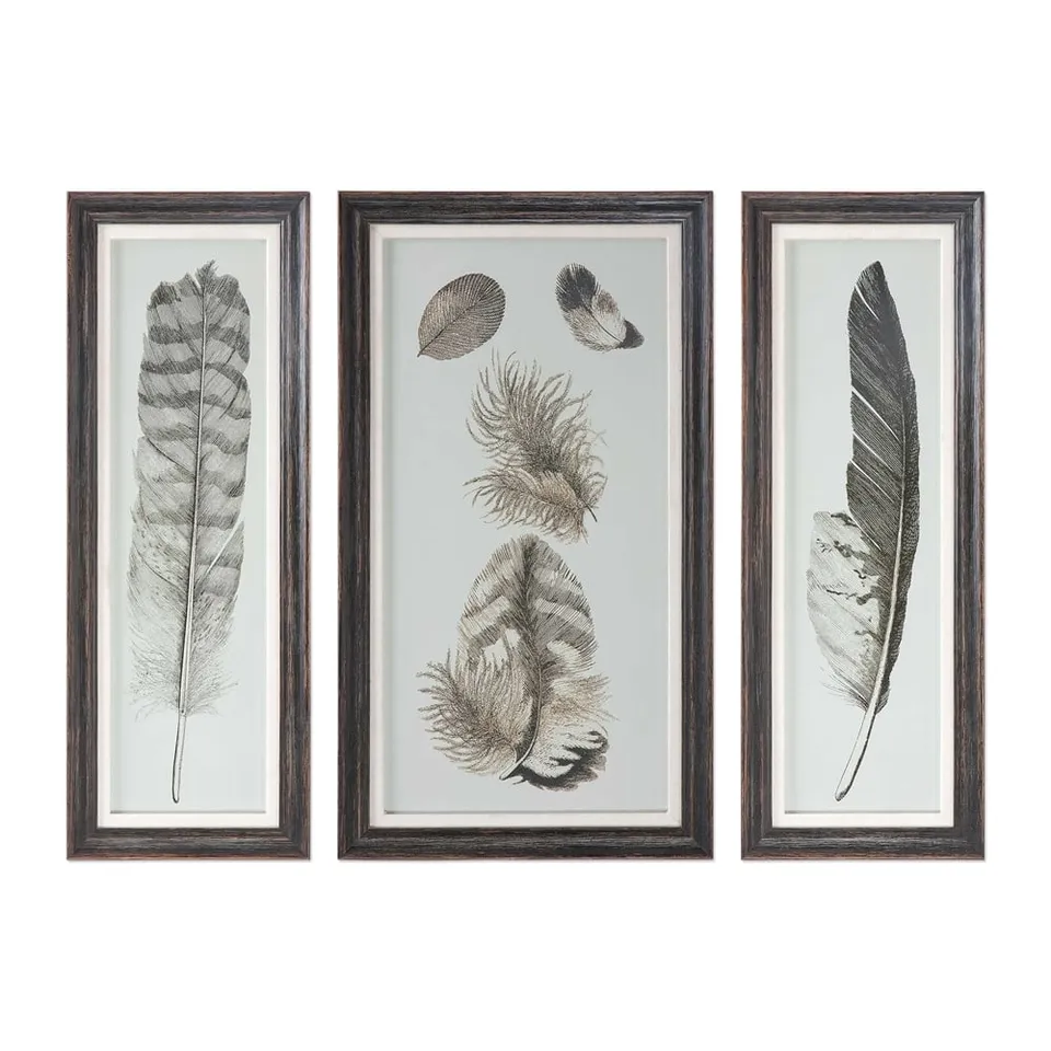 Feather Study, S/3 - 12" x 32" - Framed
