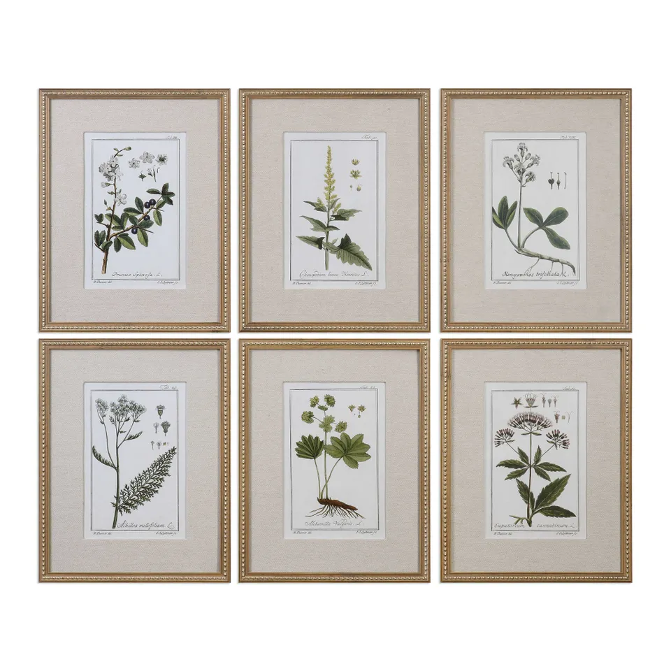 Green Floral Botanical Study, S/6 -18  X 23  -Framed (Gold)