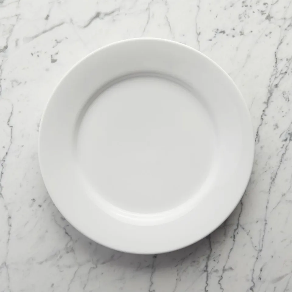 Aspen Rimmed Porcelain Dinner Plate