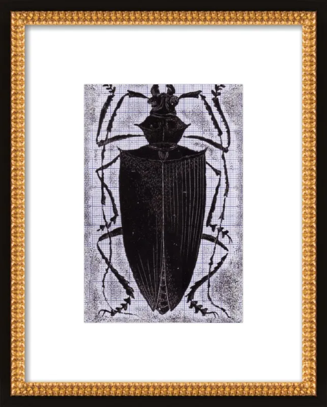 Black Beetle on Grey by Tennopent Sooster for Artfully Walls